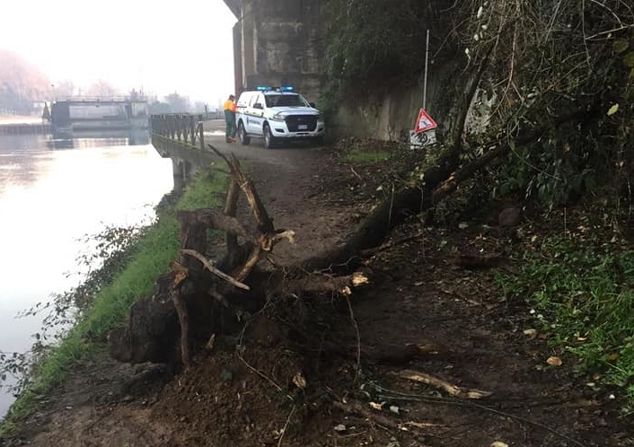 Trezzo, volontari della Protezione civile al lavoro lungo il fiume Adda per rimuovere piante e rami caduti FOTO