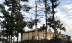 Verde in pericolo, a Cassano gli alberi della Sp104 sono a rischio crollo FOTO