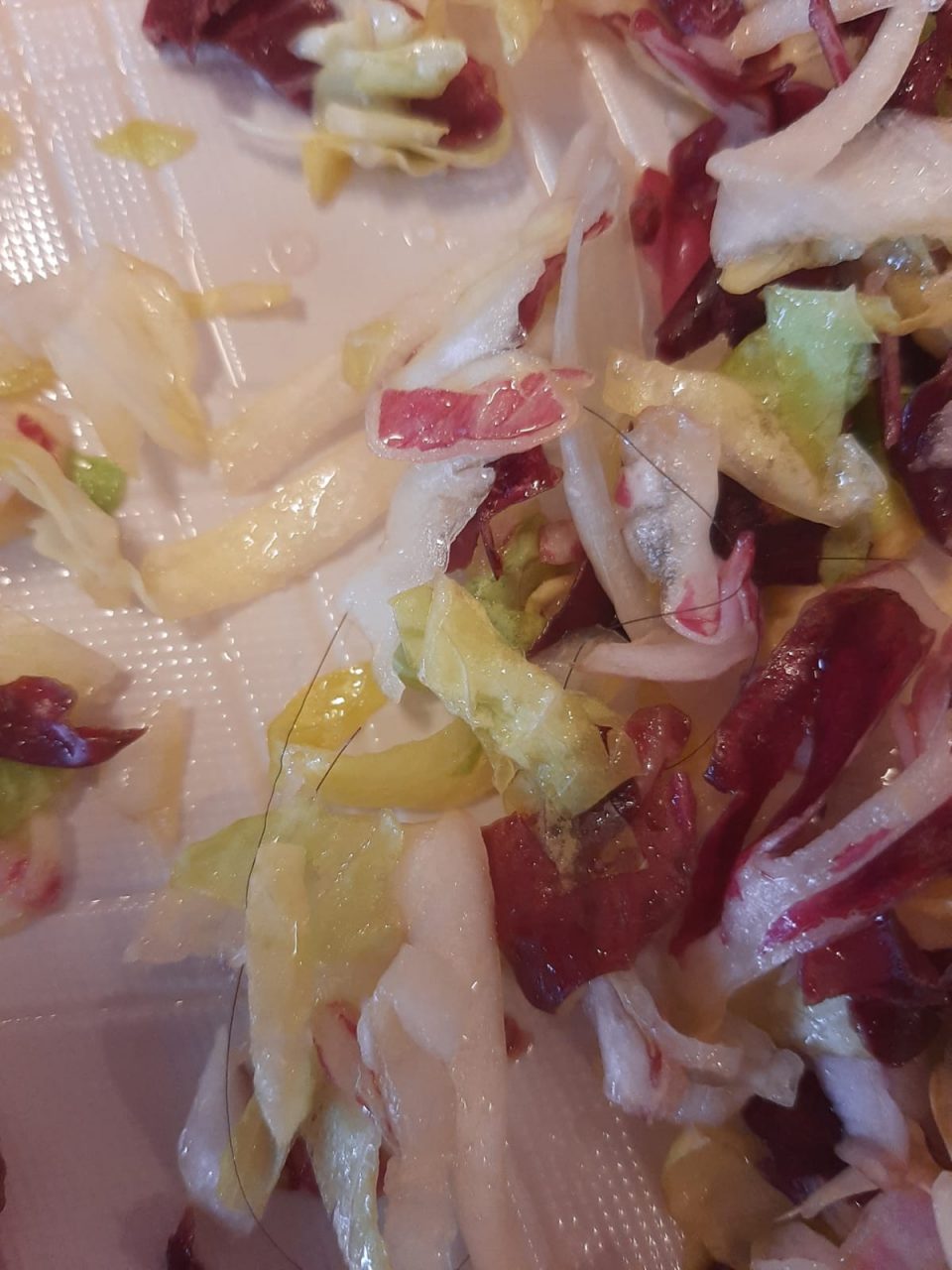Un capello nell’insalata della mensa scolastica: genitori  infuriati