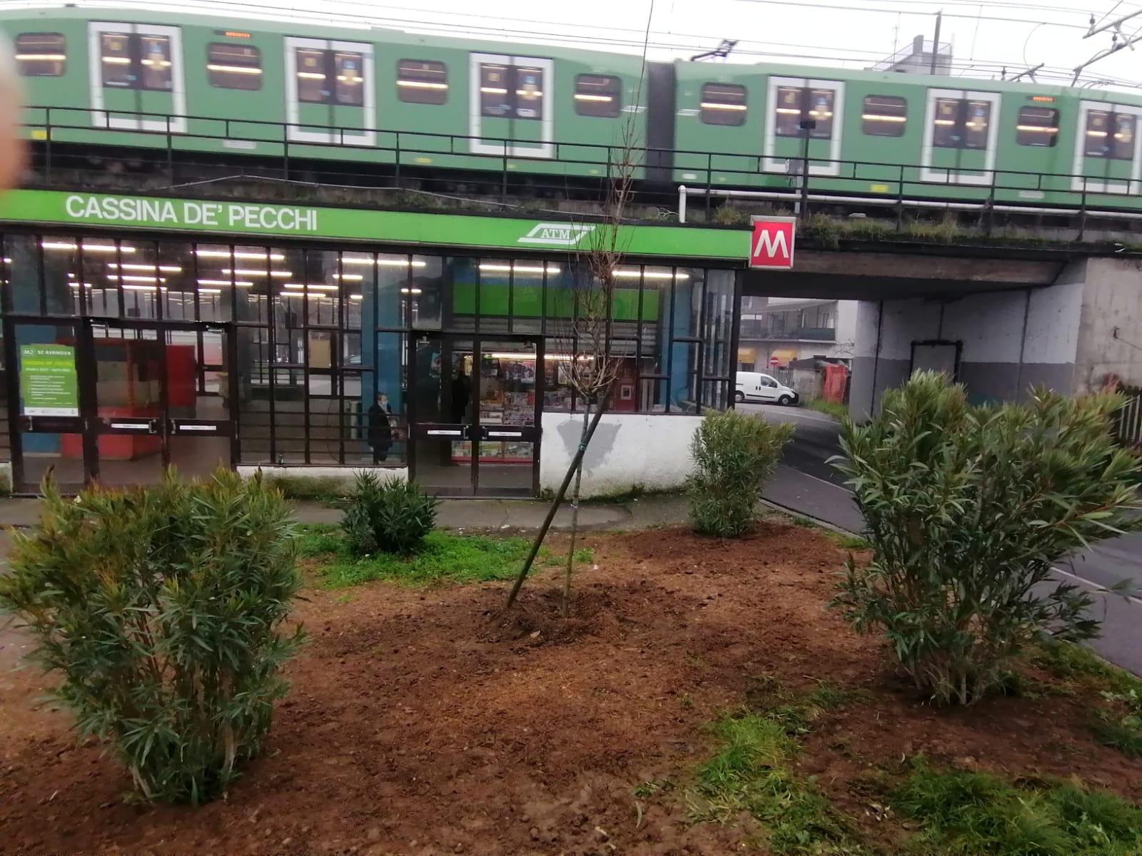 Cassina de pecchi nuove piante alla stazione della metropolitana
