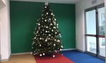 Albero di Natale della Apple a scuola a Melzo: scoppia la polemica