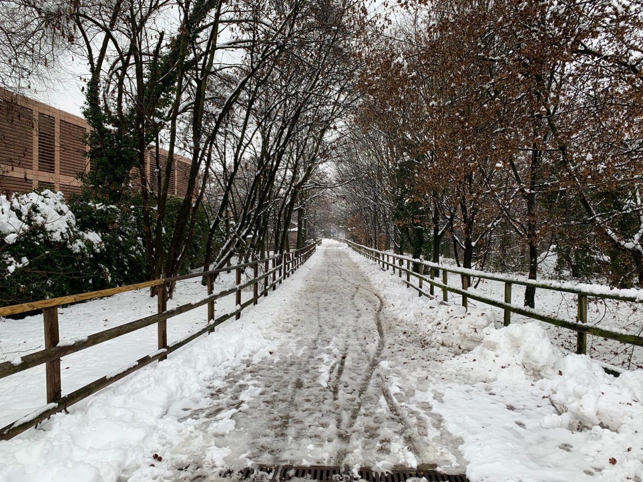 Cassano sotto la neve: i luoghi diventano magici e spettacolari FOTO