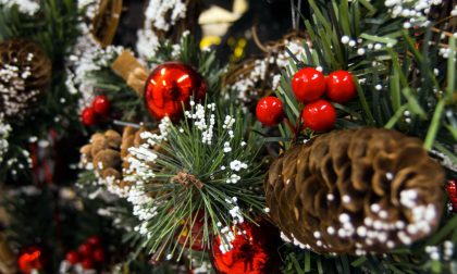 Natale a Segrate: l'accensione dell'albero in diretta VIDEO