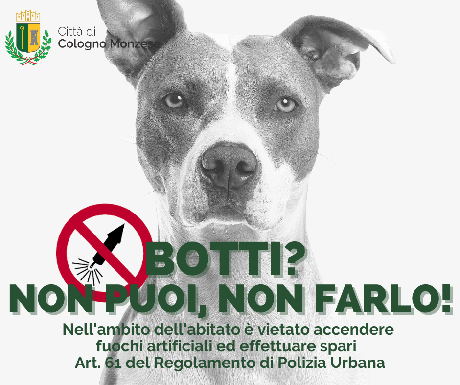 A Cologno è già Capodanno, il sindaco avverte: “Vietati i fuochi d’artificio”