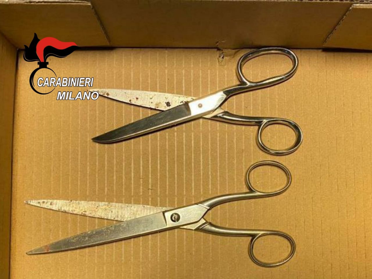 Accoltella il fratello con le forbici, arrestato per tentato omicidio