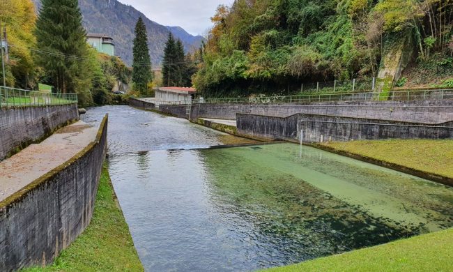 Visite guidate in mezzo alla natura a Rodano e Settala con l’arrivo della bella stagione