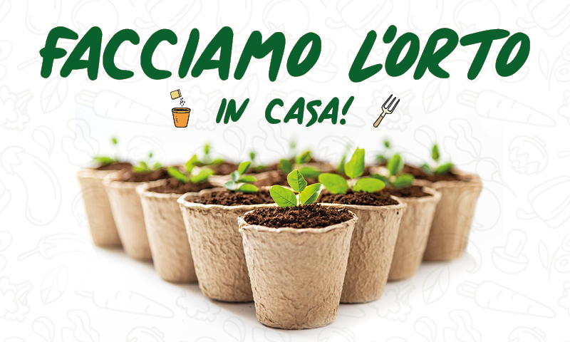 Facciamo l’orto in casa! Sementi in regalo con la Gazzetta della Martesana e la Gazzetta dell’Adda