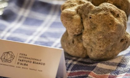 "Abbiamo riprodotto il tartufo bianco di Alba": la "grandeur" francese che fa arrabbiare l'Italia