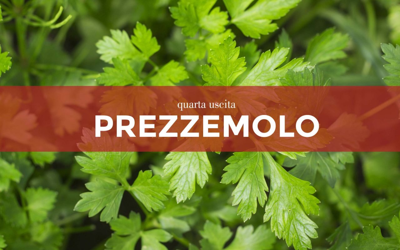 Facciamo l’orto in casa: da sabato 13 marzo con la Gazzetta della Martesana e la Gazzetta dell’Adda in regalo  i semi di prezzemolo
