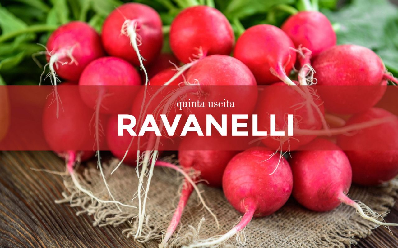 Da sabato 20 marzo in regalo con la Gazzetta della Martesana e la Gazzetta dell’Adda i semi di ravanello