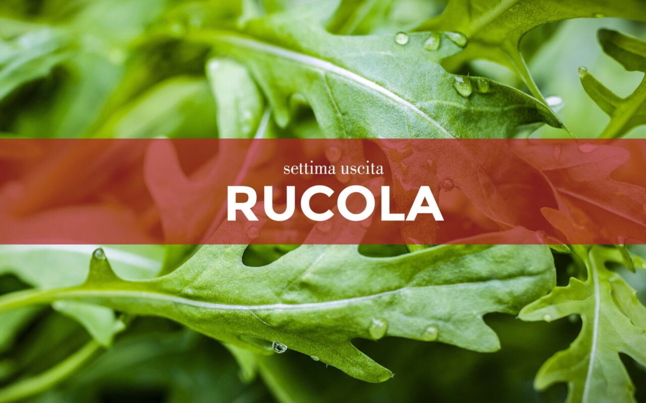 Da sabato 3 aprile con la Gazzetta della Martesana e la Gazzetta dell’Adda in regalo i semi di rucola