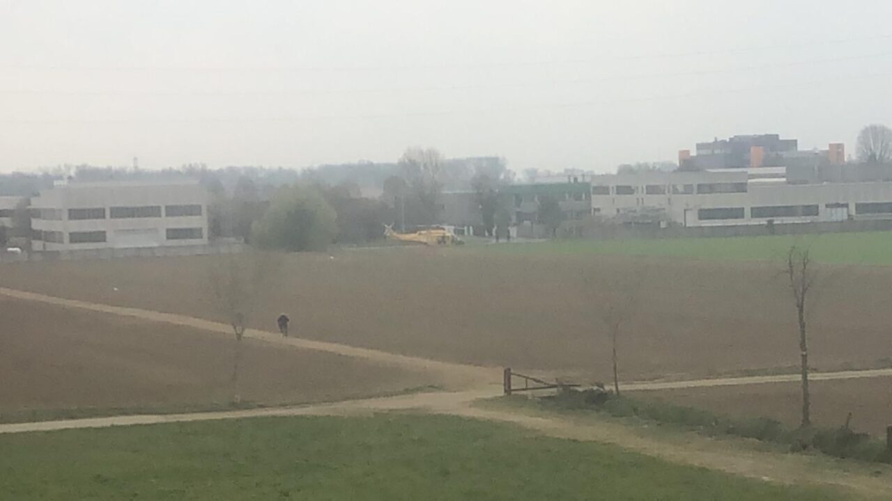 Giardiniere cade dall’albero, elisoccorso a Cassina