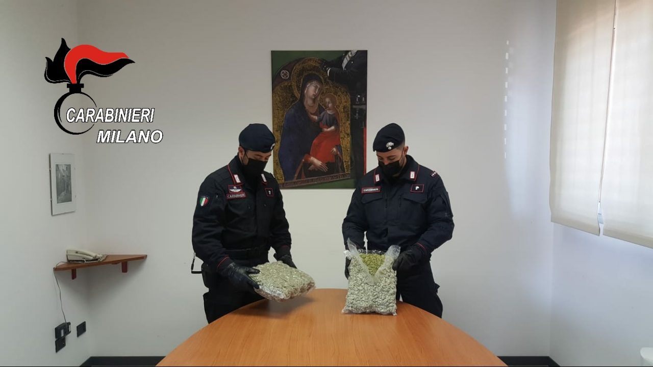 Tentano la fuga dopo aver incrociato i Carabinieri: in macchina avevano 2 chili di marijuana