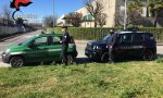 I Carabinieri soccorrono cinque gabbiani feriti a Trezzo