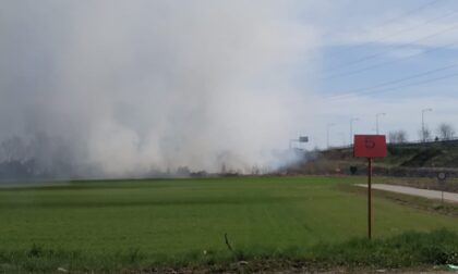 Incendio nei campi, il fumo invade Cerca e Cassanese