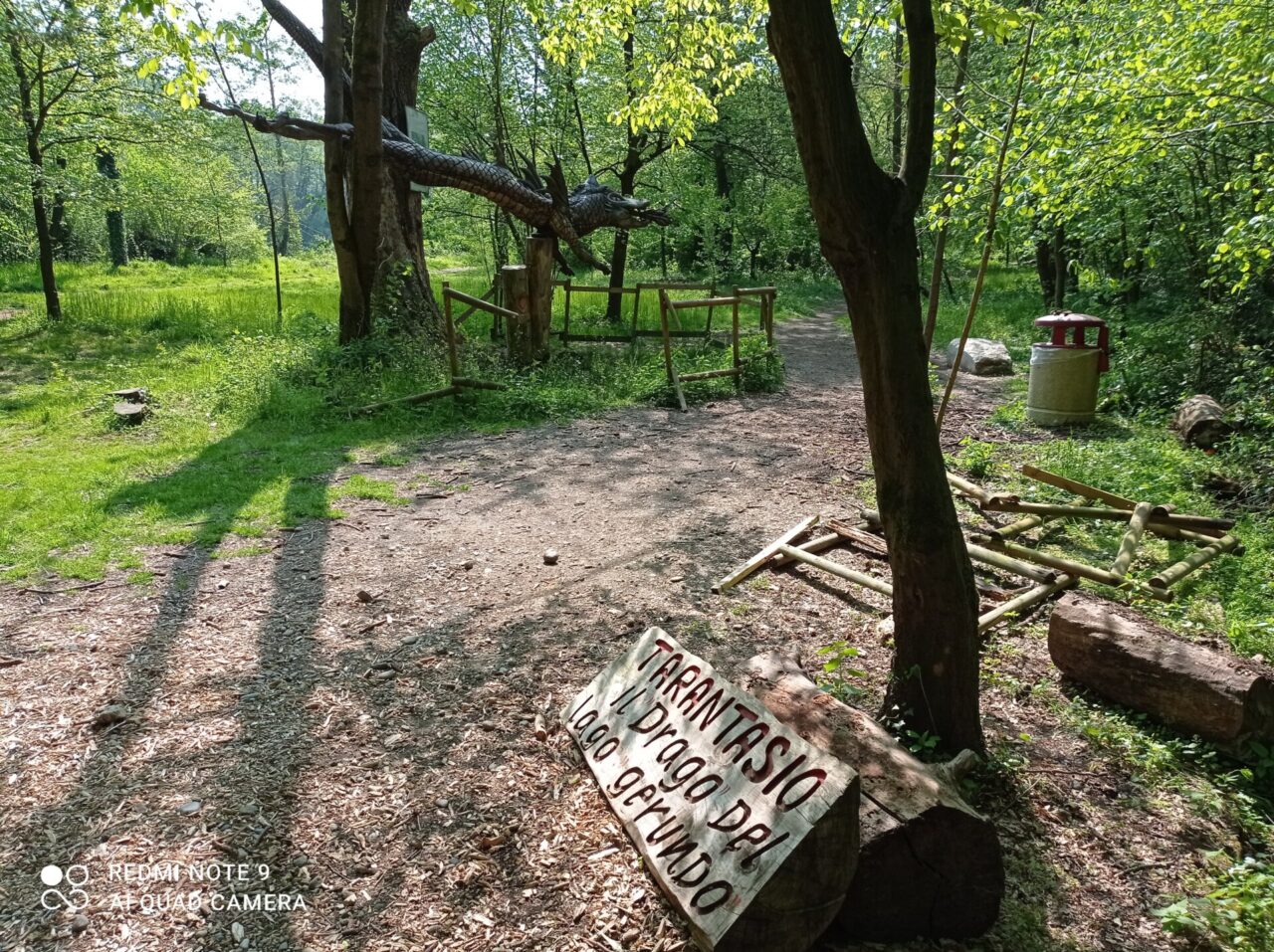 Nuovo atto vandalico al drago Tarantasio