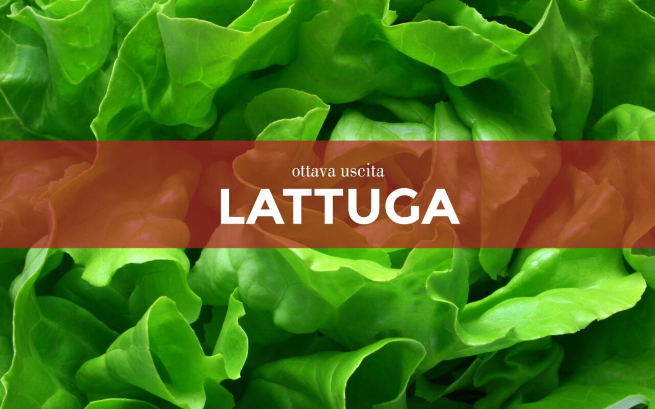 Da sabato 10 aprile con la Gazzetta della Martesana e la Gazzetta dell’Adda in regalo i semi di lattuga