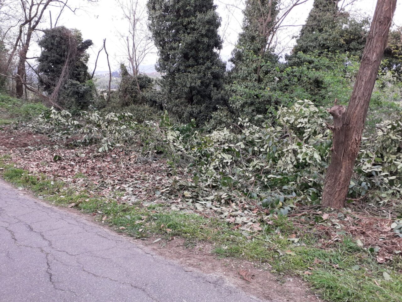 Getta le ramaglie nel fosso, ma viene visto. Multato dalla Polizia Locale