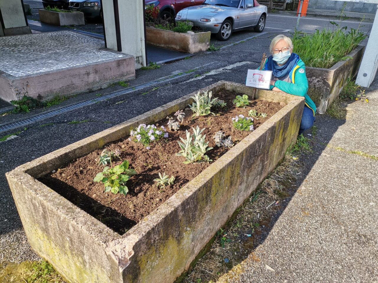 cernusco sul naviglio claudia galas sistema le fioriere di via briantea