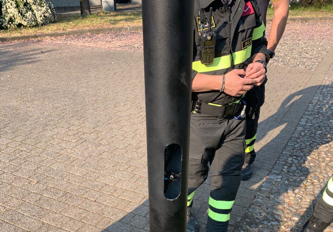 Bimbi sentono dei cinguettii nel palo della luce e chiamano i pompieri: trovato nido di uccellini