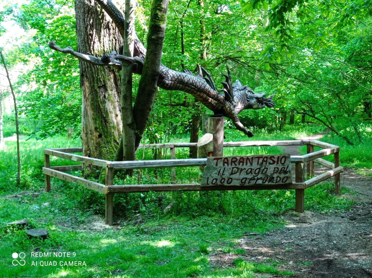 Volontari rimettono a nuovo la staccionata vandalizzata del Drago Tarantasio