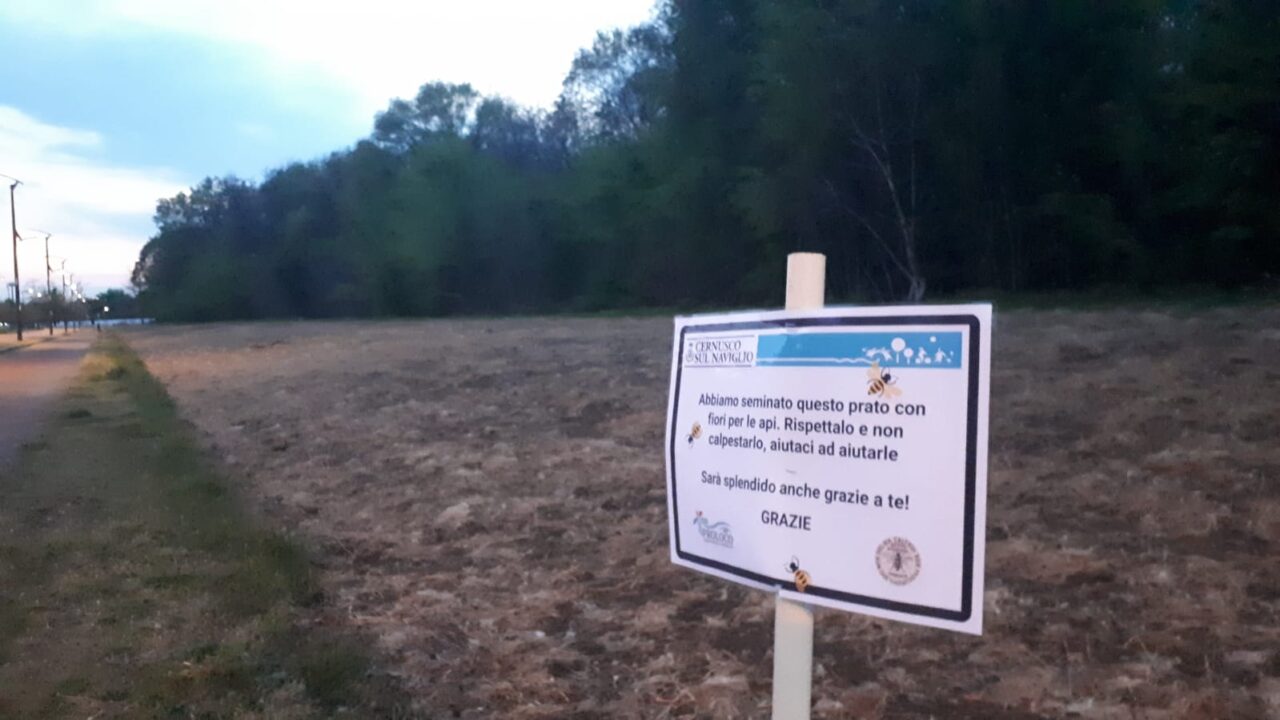 Cernusco sul Naviglio è Comune amico delle api