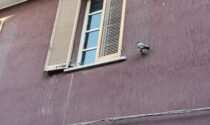 Vandali armati di estintore danneggiano il materiale elettorale del Comune di Cassina de' Pecchi