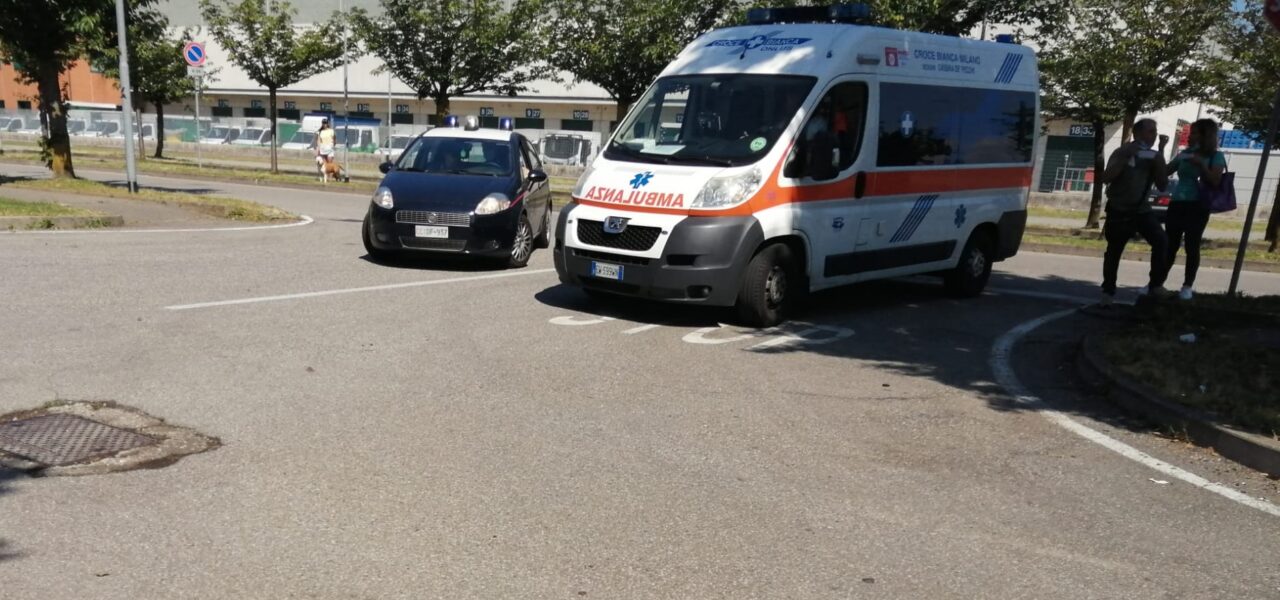 Violenta lite finisce a cazzotti