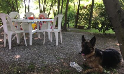 Sedie e tavoli rotti o rubati: nel mirino il giardino curato da un'anziana volontaria