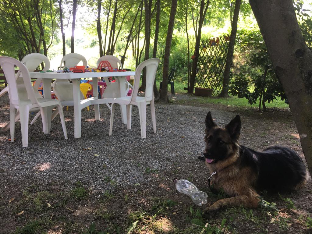 Sedie e tavoli rotti o rubati: nel mirino il giardino curato da un’anziana volontaria