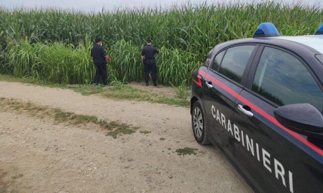 Trovate morte nei campi due donne investite da una mietitrebbia