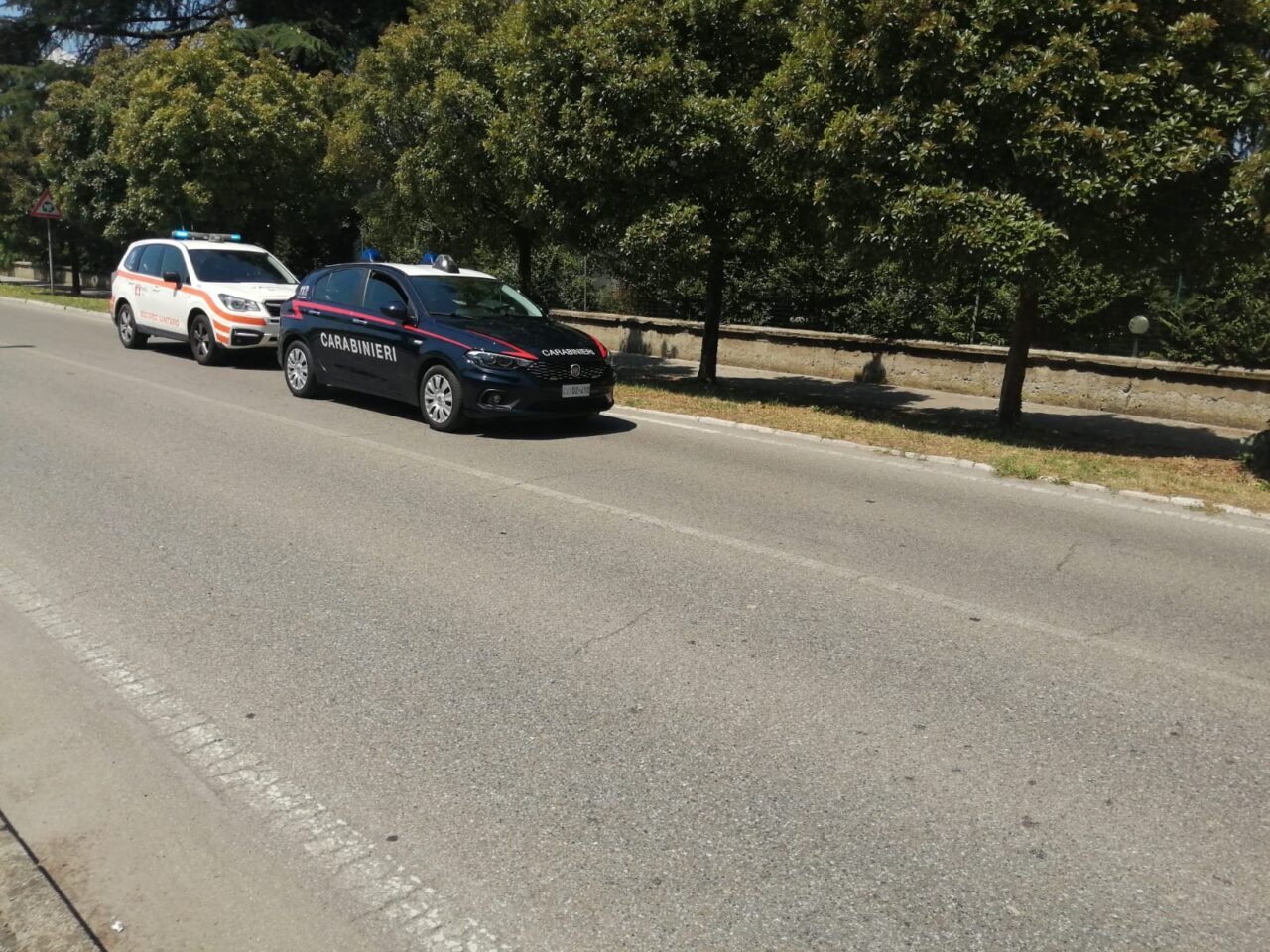 Ragazza di 21 anni investita da un’auto a Vaprio