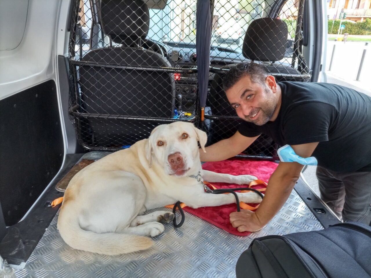 Lettera di minacce contro un cane: “Abbaia troppo, fallo smettere o ci pensiamo noi”