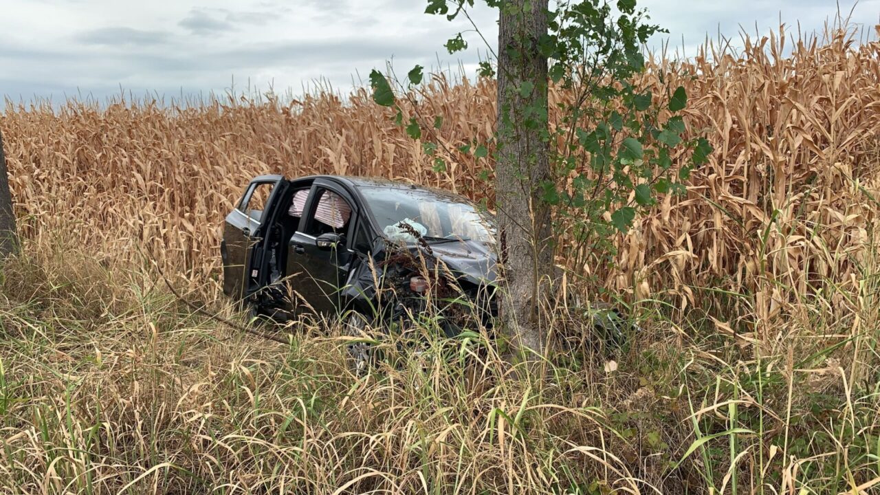 Auto finisce in mezzo ai campi a Rodano, intervento in codice rosso