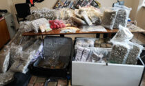 Scoperte due "fabbriche" della droga: sequestrati 715 chili di hashish, marijuana e cocaina