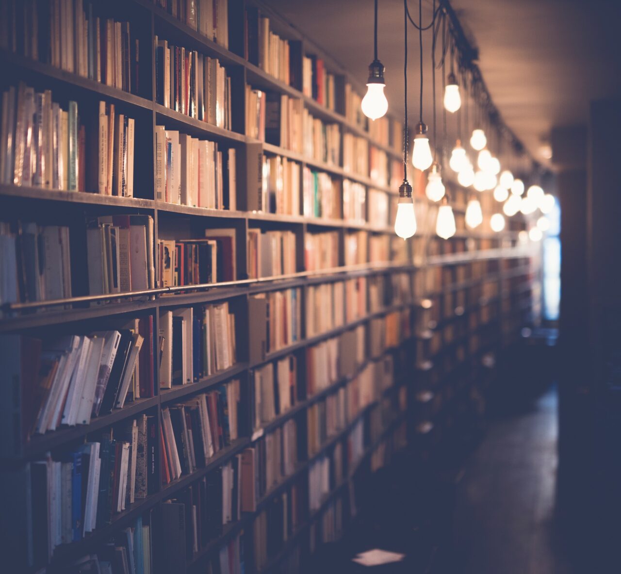 In arrivo Biblio for future, gli utenti invitati a partecipare alla creazione del Decalogo della sostenibilità