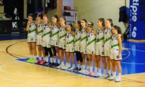 Basket Serie A2 femminile - Carugate batte Vicenza e alimenta la striscia positiva