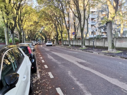 “Salviamo i bagolari di via Don Sturzo”. Comitati e ambientalisti uniscono le forze
