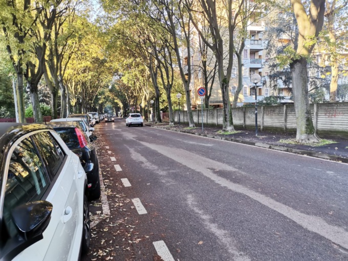 Per non abbattere i filari di alberi il Comune triplica la spesa per sistemare la strada