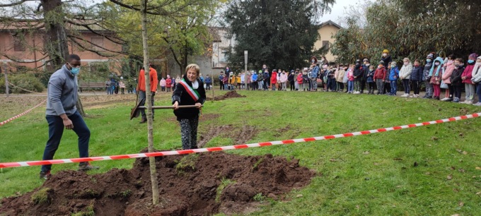 Dopo aver abbattuto dieci  alberi Comune affida ai bimbi le nuove piante