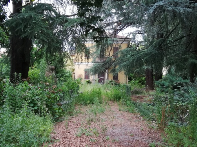 In primavera sbocciano… le telecamere