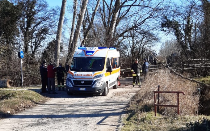 Gli crolla addosso un albero, grave un anziano