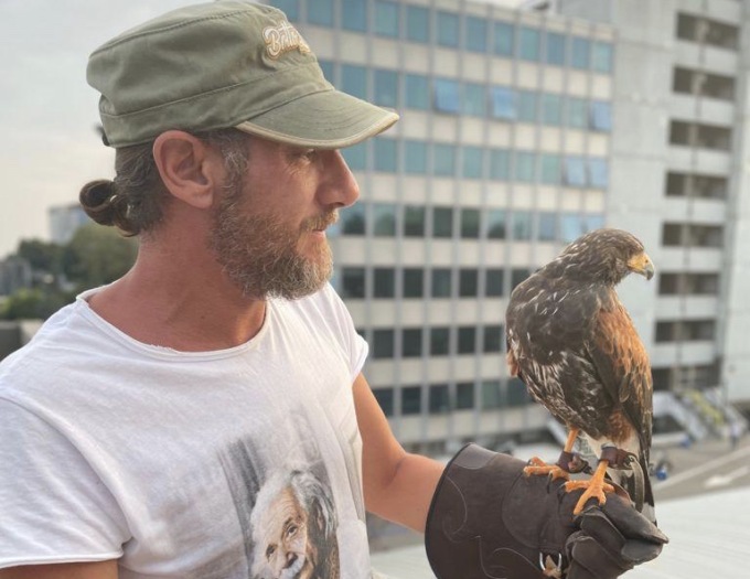 Spazzato via dal vento, “Nathan” il falco torna dal suo padrone dopo giorni di ricerche