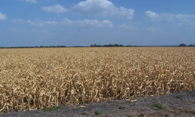 E’ allarme siccità: in Lombardia mancano 3 miliardi di metri cubi di acqua
