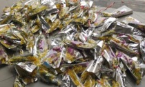 Festa della donna con fuga (dei venditori abusivi): sequestrati 140 mazzi di mimose