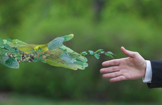 Il futuro della sostenibilità è ispirarsi alla natura