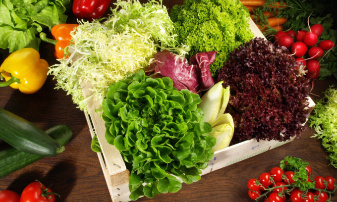 Da oggi in regalo i semi di insalata con La Gazzetta della Martesana e La Gazzetta dell’Adda