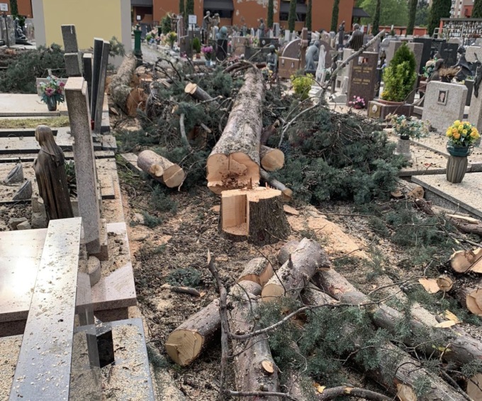 Alberi tagliati al cimitero: tronchi buttati sulle tombe