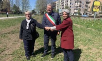 Oltre 1.200 alberi lungo la Padana grazie a Forestami