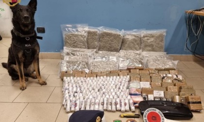 Vignate: la Polizia di Stato sequestra oltre 80 chilogrammi di droga e arresta uno spacciatore